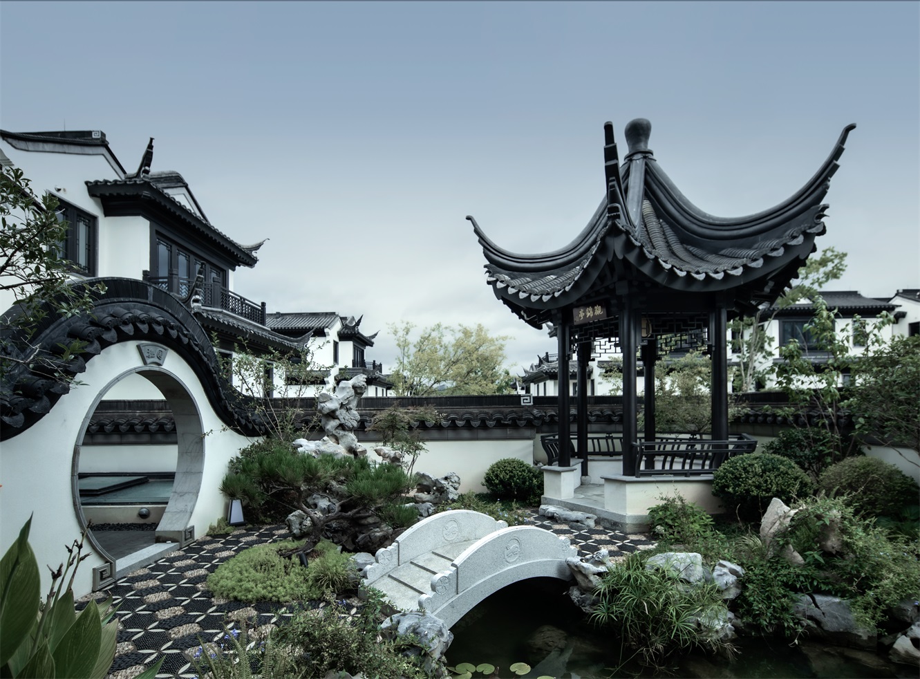 1685948302528473.jpg 0V0A1105.jpg